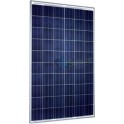 Panneaux solaires - Panneau solaire Européen 260 Wc minimum
